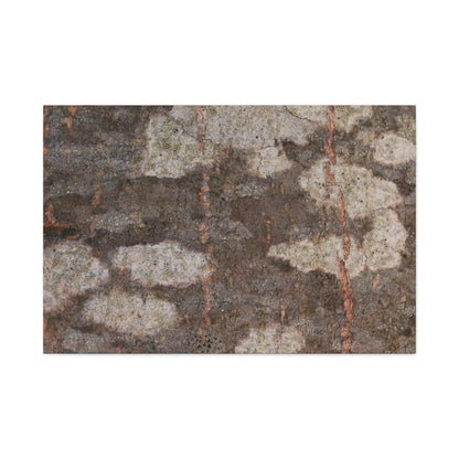 Earthen Memoir - Unique Frameless Canvas Wall Art - Art By Earth