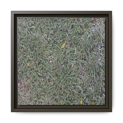 Grassy Texture - Unique Stretched Canvas Wall Art - Art By Earth