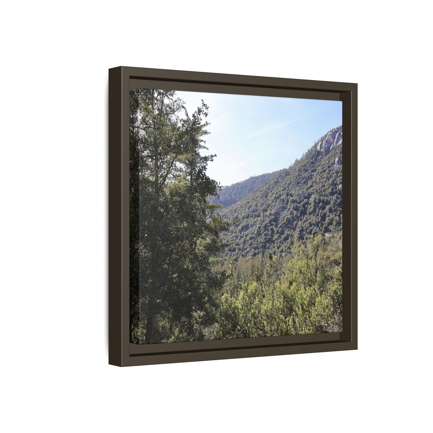 Mountain Valley Forest - Unique Stretched Canvas Wall Art