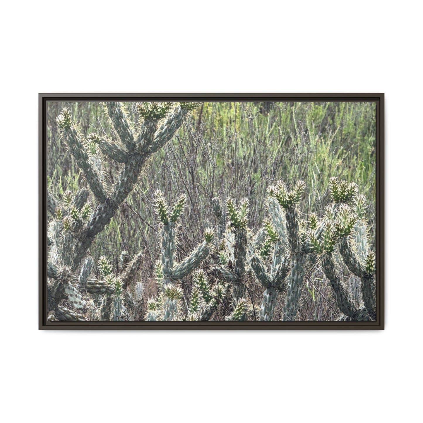 Prickly Paradise - Unique Stretched Canvas Wall Art - Art By Earth