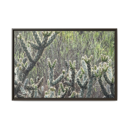 Prickly Paradise - Unique Stretched Canvas Wall Art - Art By Earth