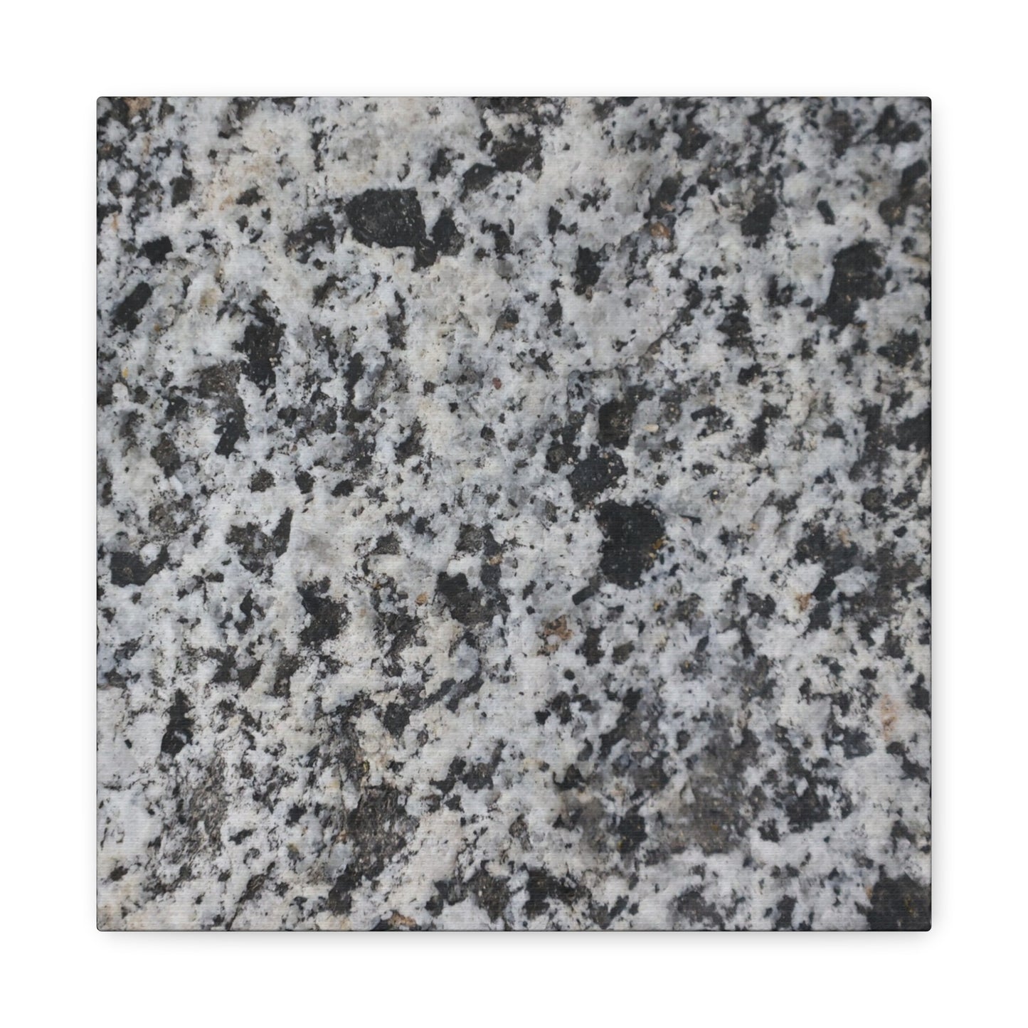 Grainy Whispers - Unique Frameless Canvas Wall Art - Art By Earth