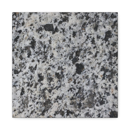 Grainy Whispers - Unique Frameless Canvas Wall Art - Art By Earth