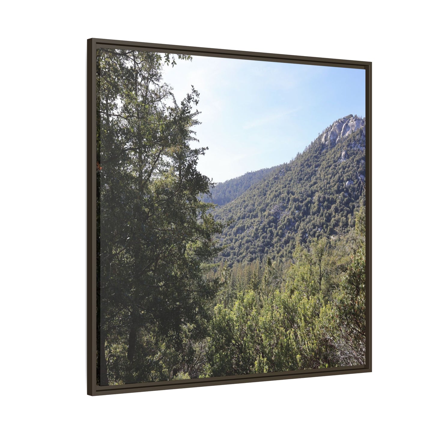 Mountain Valley Forest - Unique Stretched Canvas Wall Art