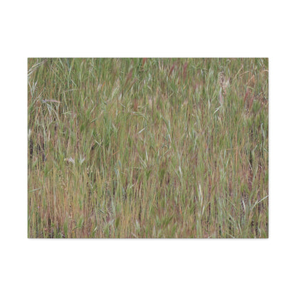 Whispers of the Prairie - Unique Frameless Canvas Wall Art - Art By Earth