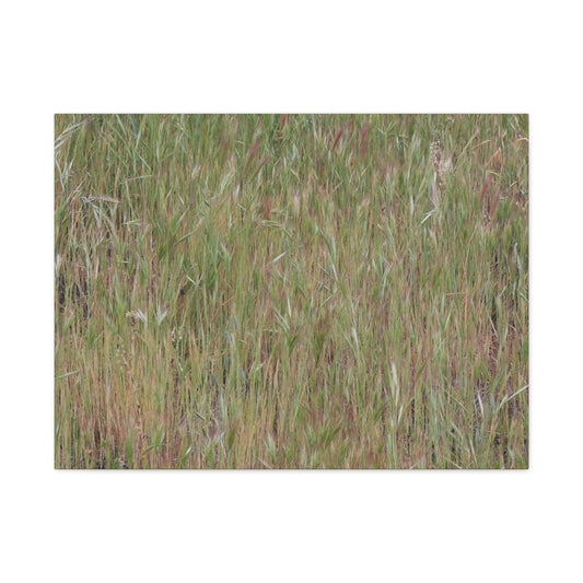 Whispers of the Prairie - Unique Frameless Canvas Wall Art - Art By Earth