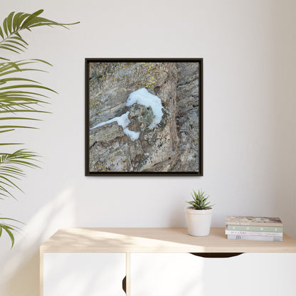 Lichen's Embrace - Unique Stretched Canvas Wall Art