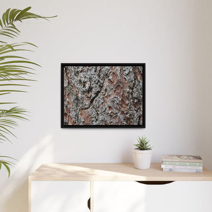 Bark Texture Symphony - Unique Stretched Canvas Wall Art - Art By Earth