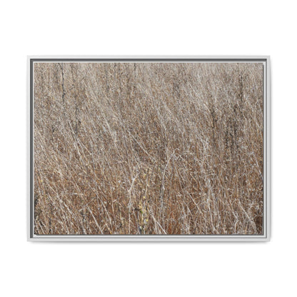 Dry Grass Symphony - Unique Stretched Canvas Wall Art - Art By Earth