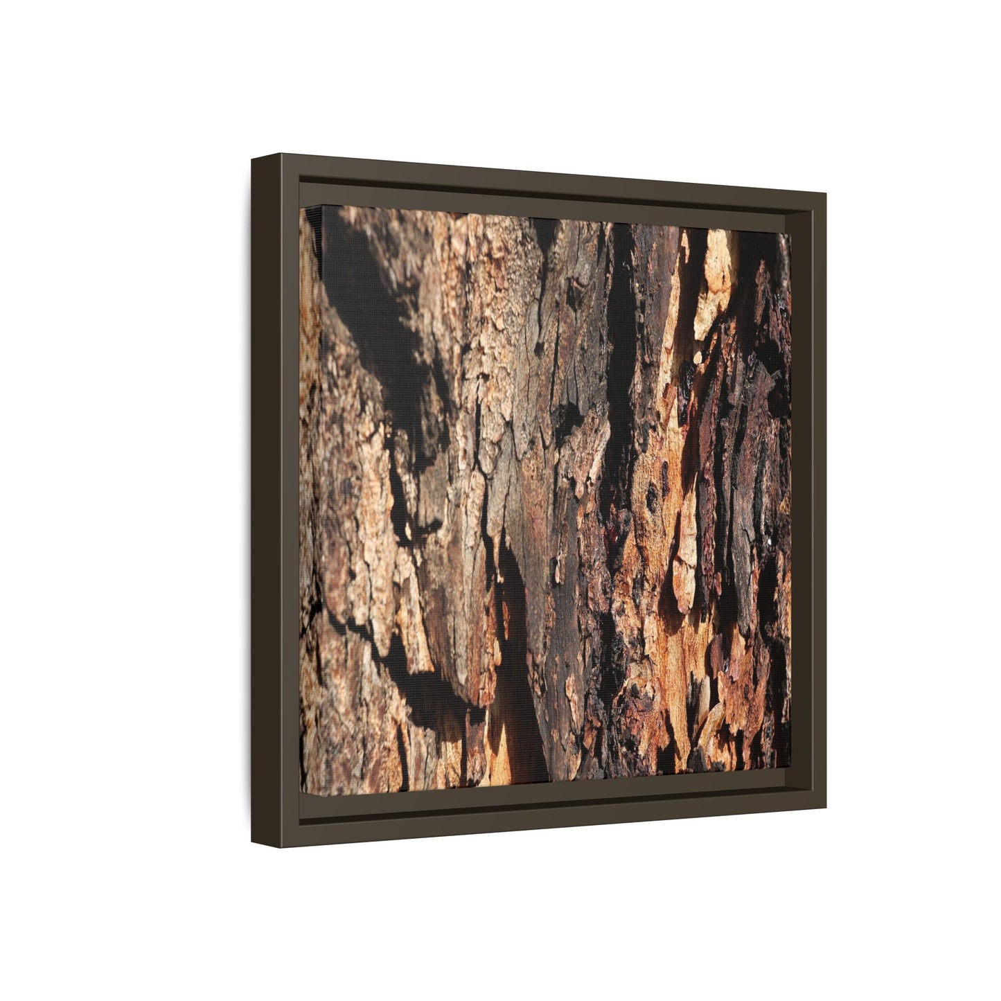 Rugged Beauty - Unique Stretched Canvas Wall Art - Art By Earth