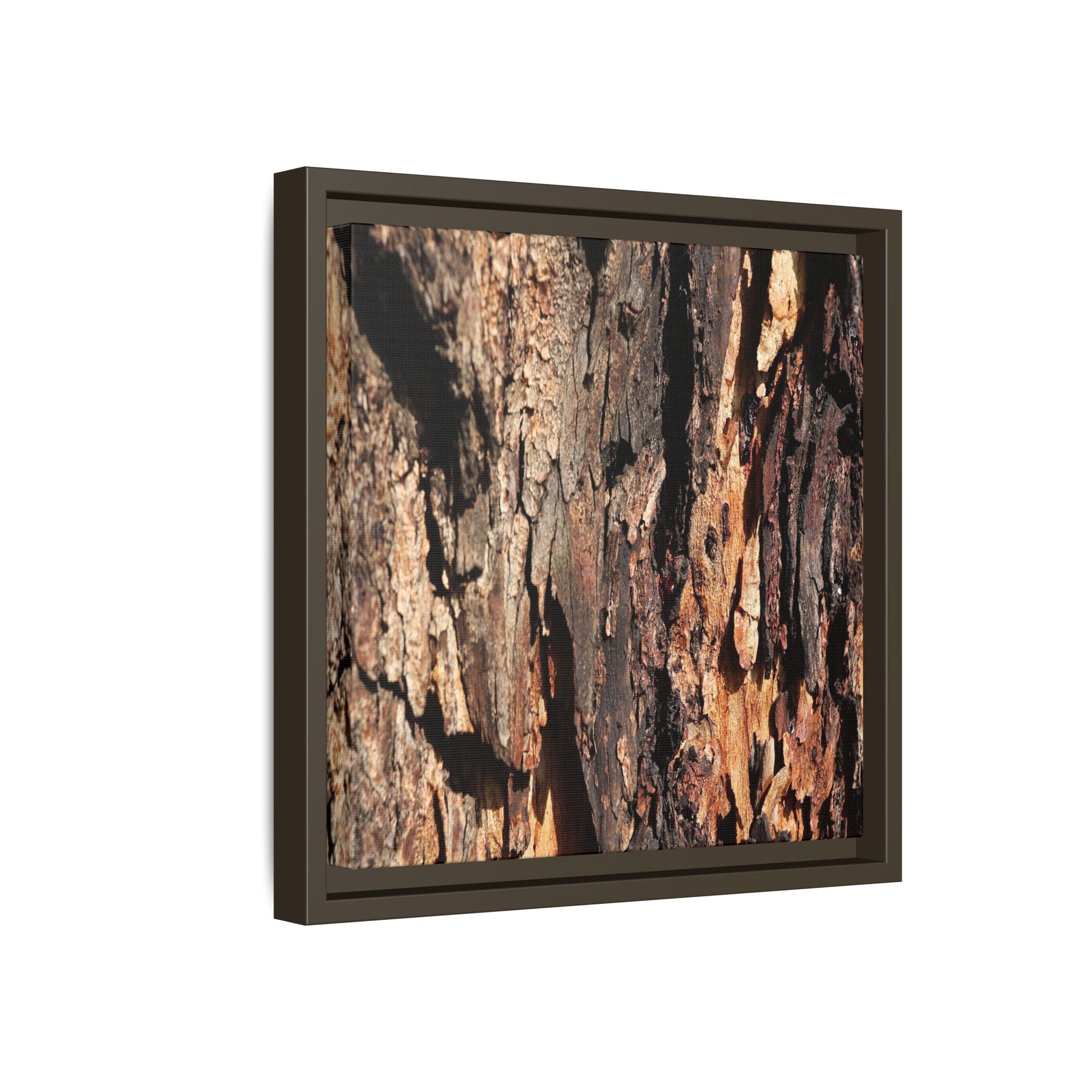 Rugged Beauty - Unique Stretched Canvas Wall Art - Art By Earth