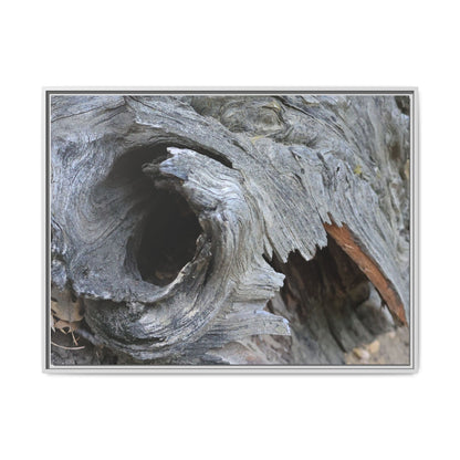 Bark's Labyrinth - Unique Stretched Canvas Wall Art - Art By Earth