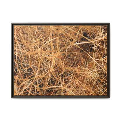 Dried Grass - Unique Stretched Canvas Wall Art - Art By Earth