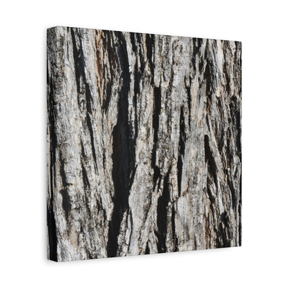 Bark Textures in Monochrome - Unique Frameless Canvas Wall Art - Art By Earth