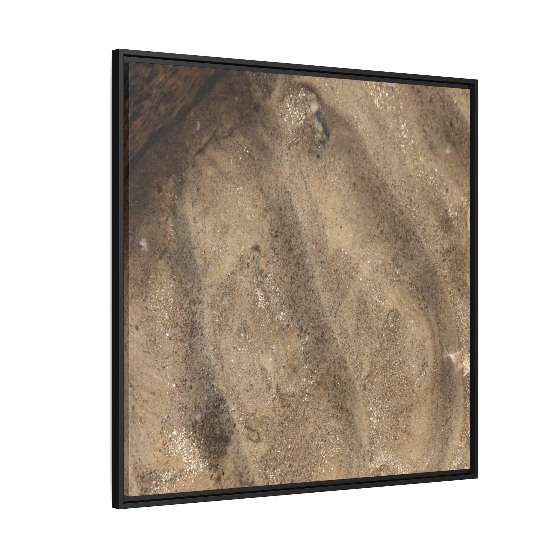Tidal Pool Secrets - Unique Stretched Canvas Wall Art - Art By Earth