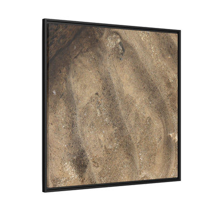 Tidal Pool Secrets - Unique Stretched Canvas Wall Art - Art By Earth