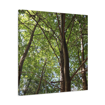 Canopy of Light - Unique Frameless Canvas Wall Art