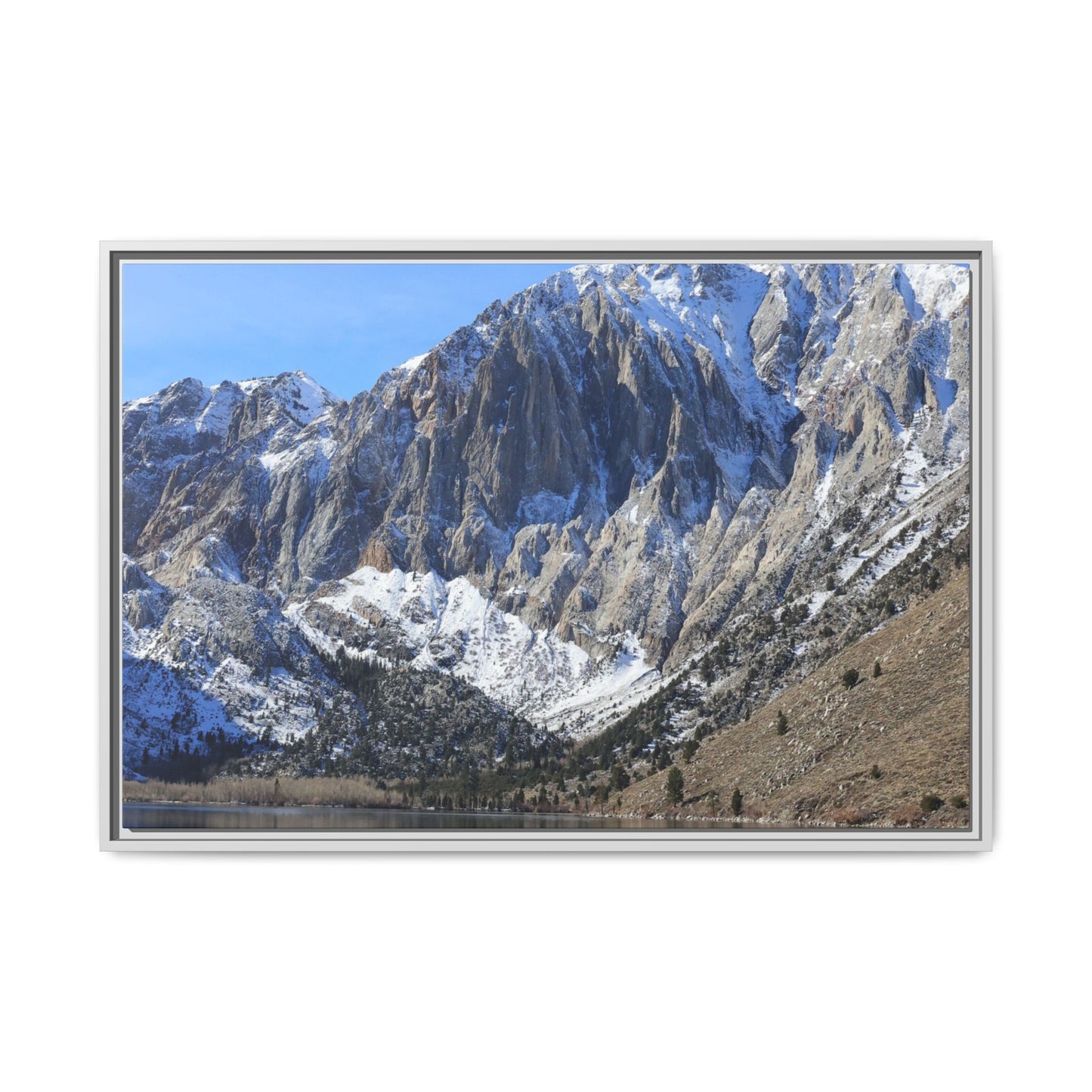 Frozen Reflection - Unique Stretched Canvas Wall Art