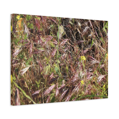 Autumn Wildflower Meadow in Transition - Unique Frameless Canvas Wall Art - Art By Earth