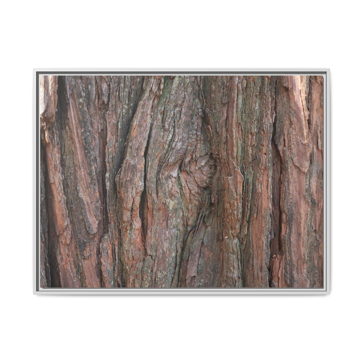 Rugged Textures - Unique Stretched Canvas Wall Art - Art By Earth