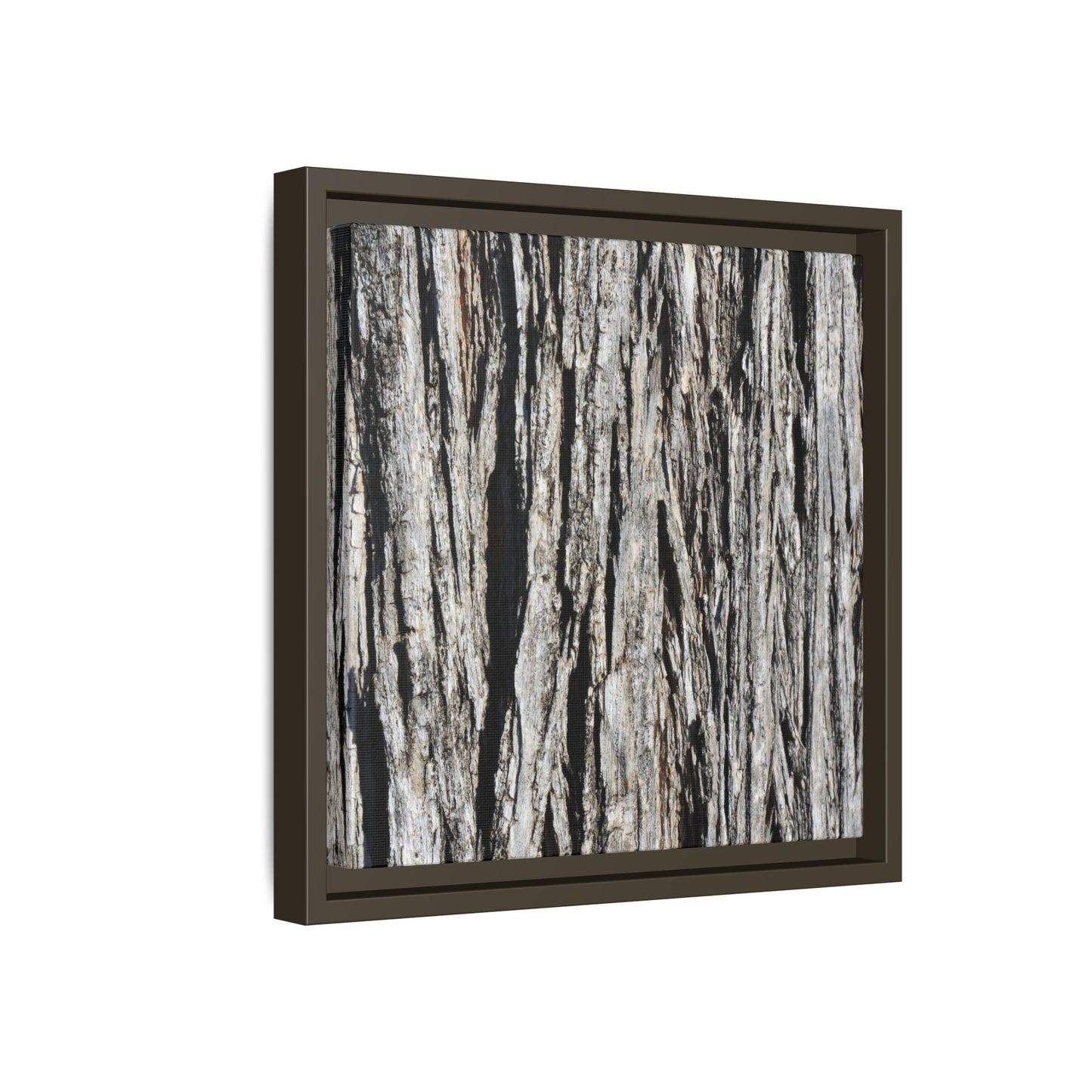 Nature's Abstract - Unique Stretched Canvas Wall Art - Art By Earth