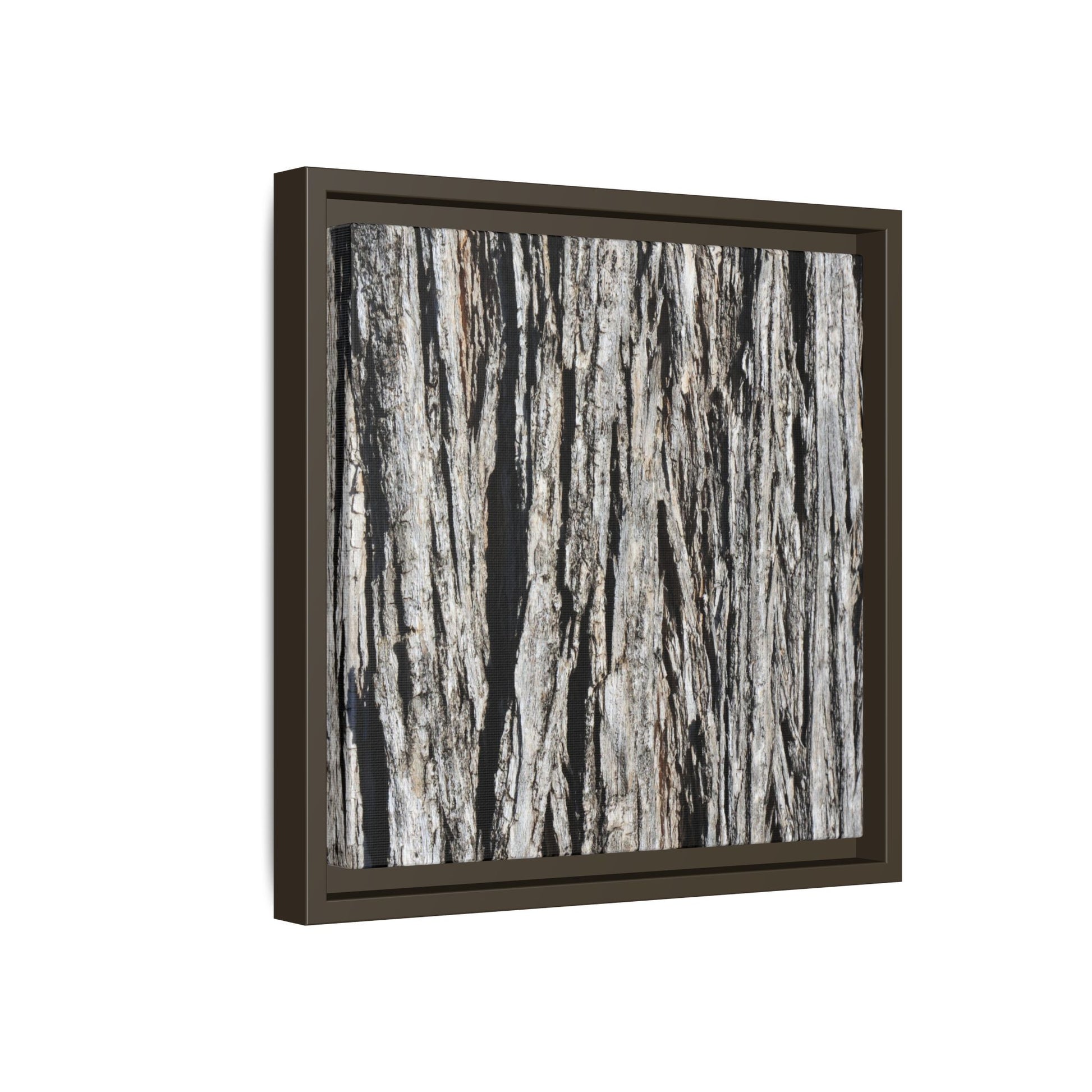 Nature's Abstract - Unique Stretched Canvas Wall Art - Art By Earth