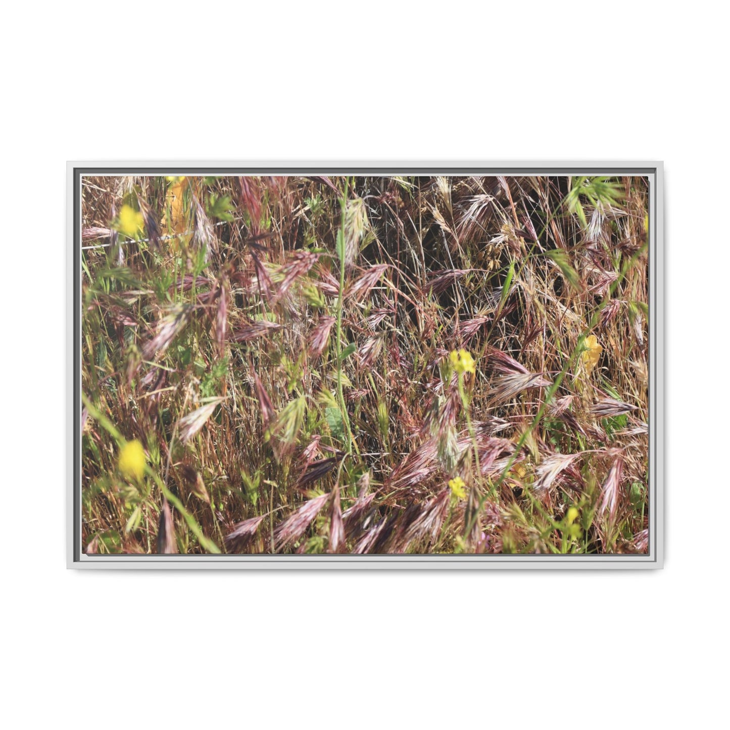 Autumn Meadow - Unique Stretched Canvas Wall Art - Art By Earth