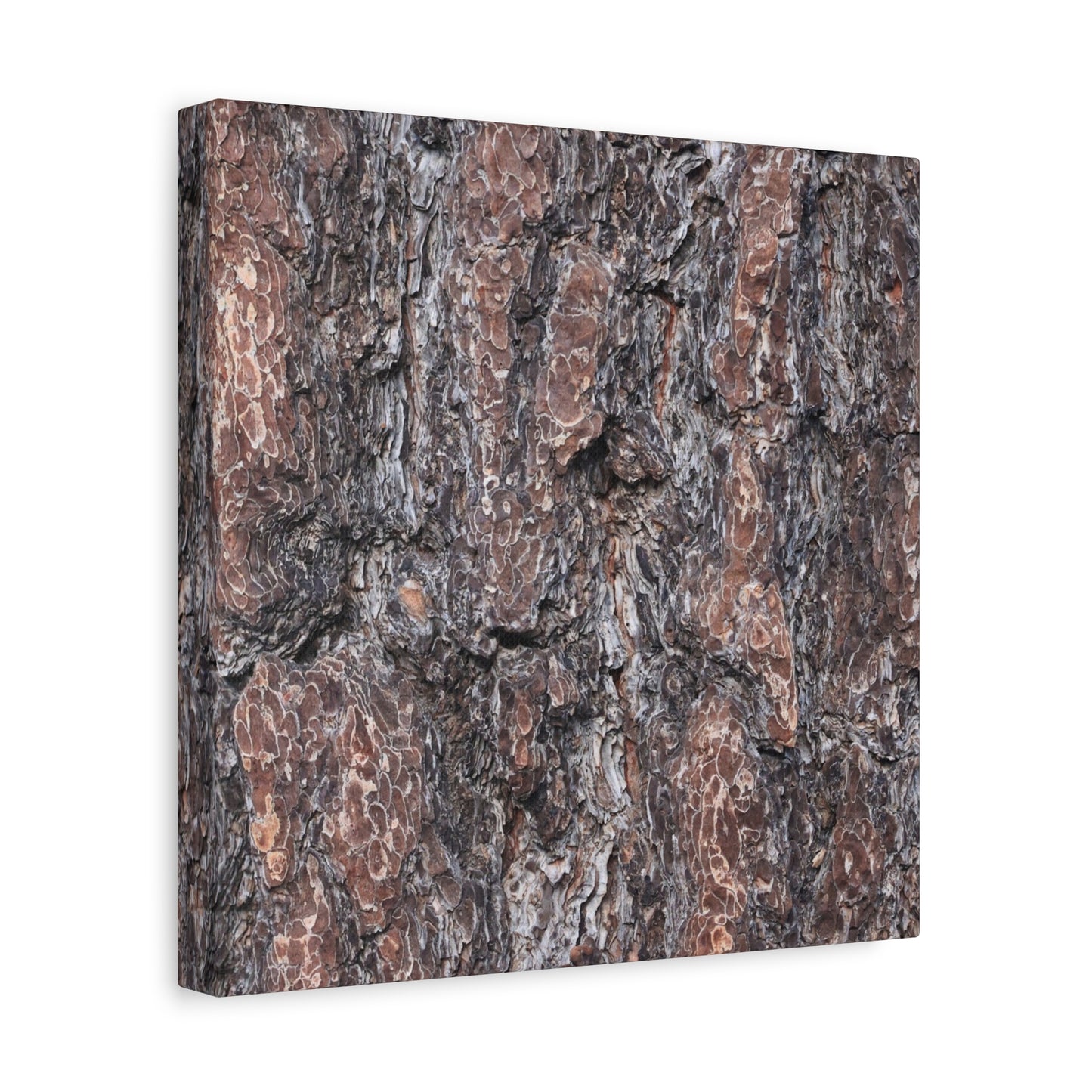 Textured Whispers of an Ancient Tree - Unique Frameless Canvas Wall Art