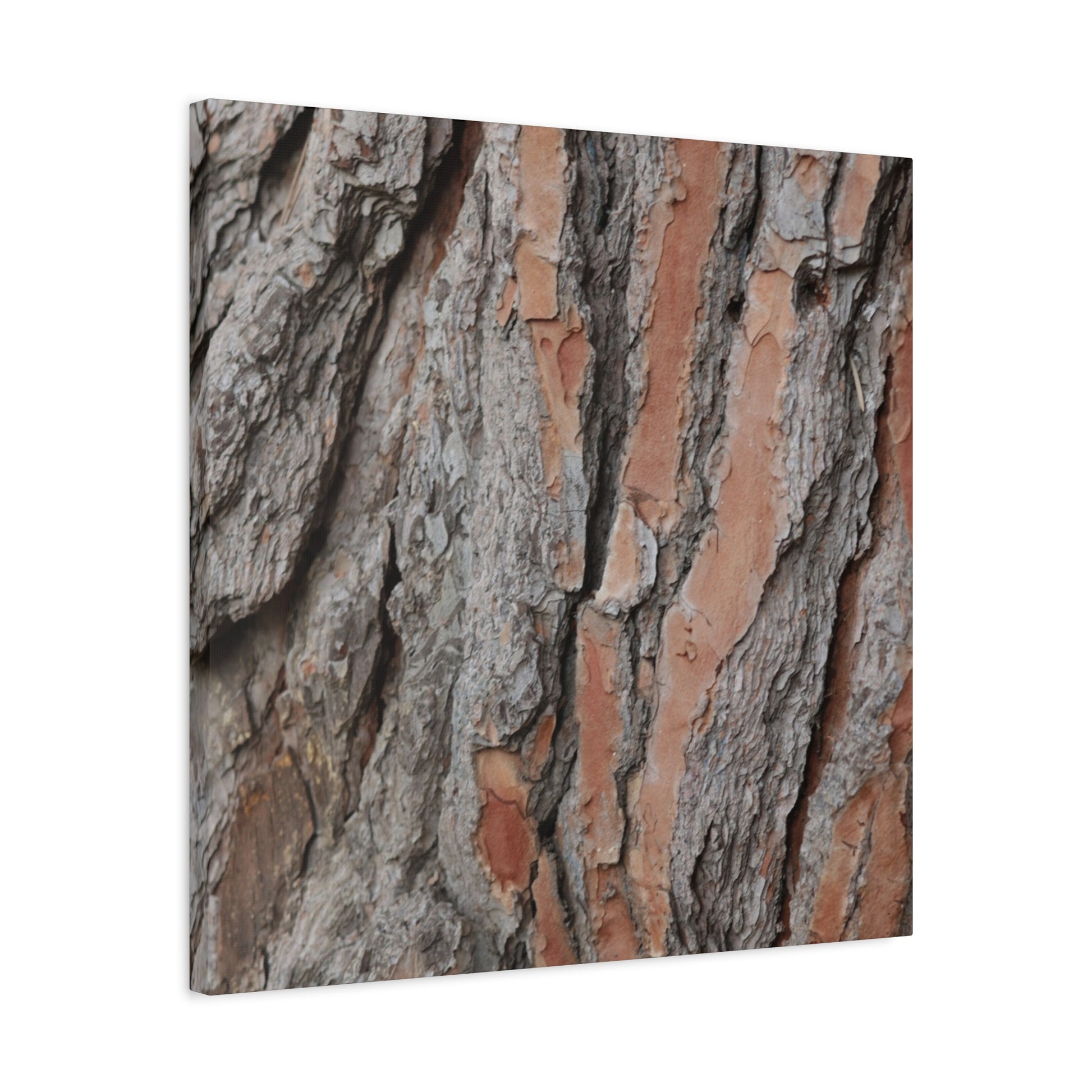 Fractal Landscape - Unique Frameless Canvas Wall Art - Art By Earth