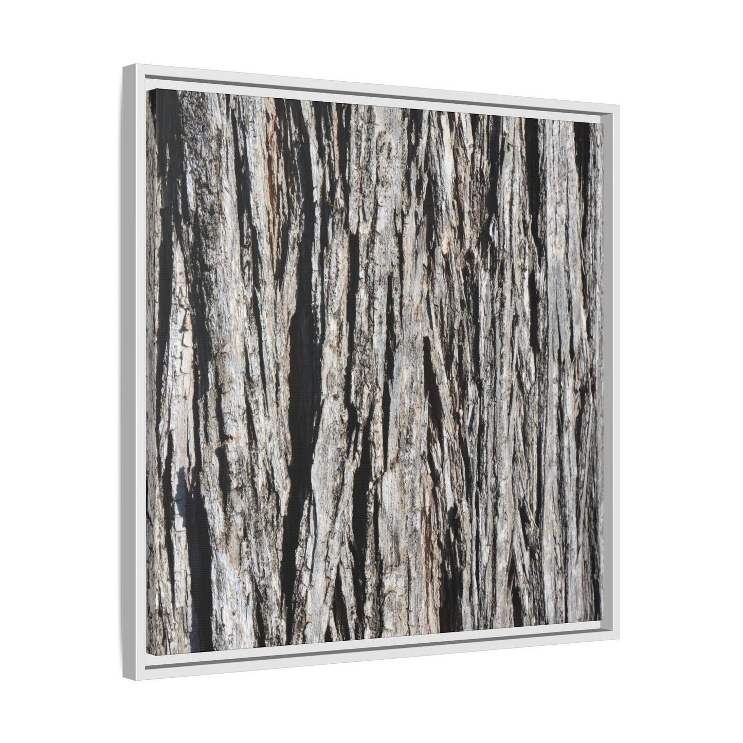 Nature's Abstract - Unique Stretched Canvas Wall Art - Art By Earth