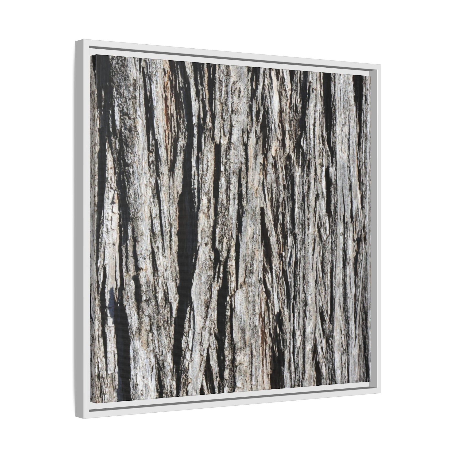 Nature's Abstract - Unique Stretched Canvas Wall Art - Art By Earth
