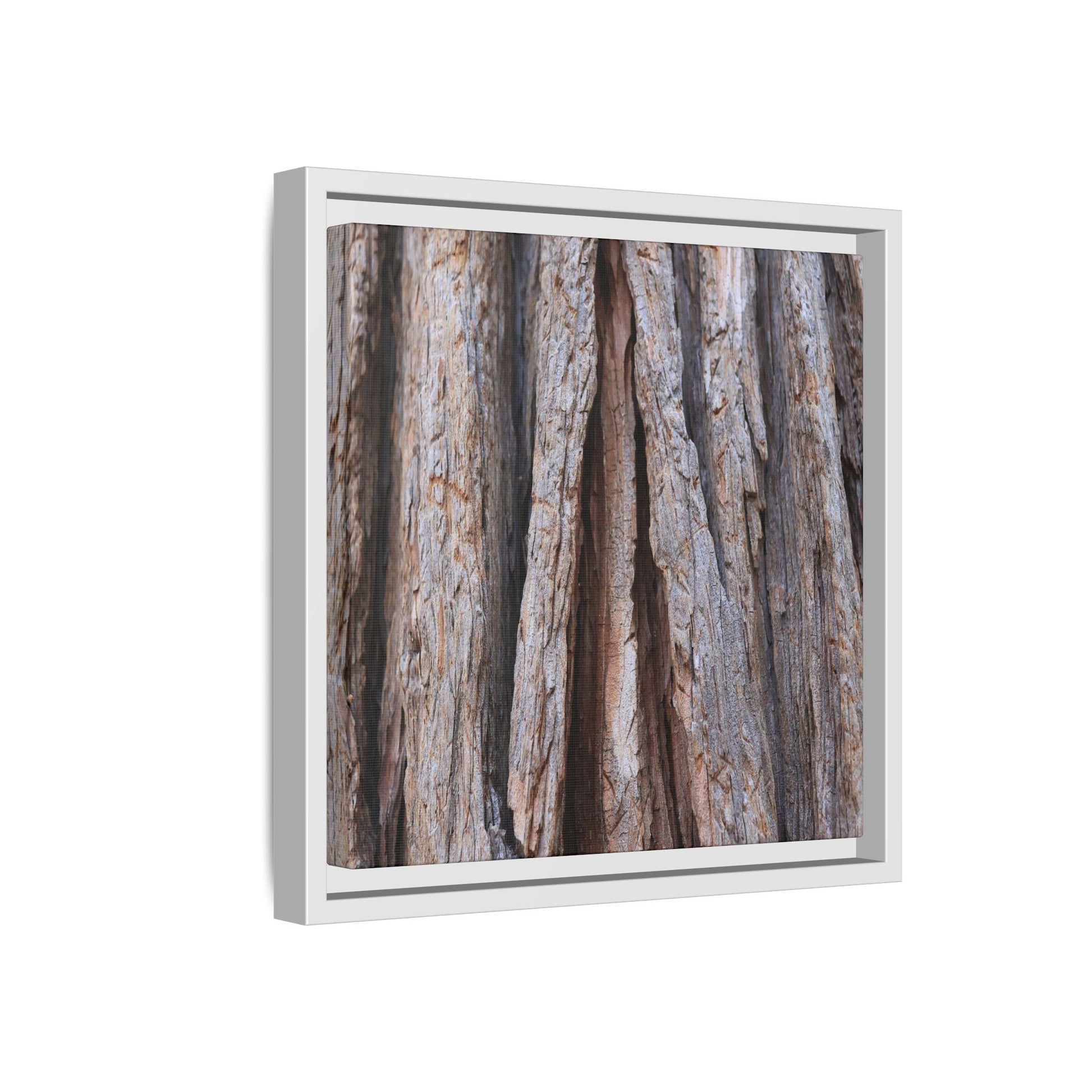 Nature's Sculpture - Unique Stretched Canvas Wall Art - Art By Earth