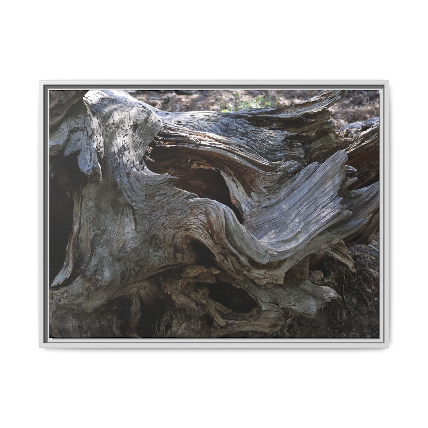 Twisted Memories - Unique Stretched Canvas Wall Art - Art By Earth