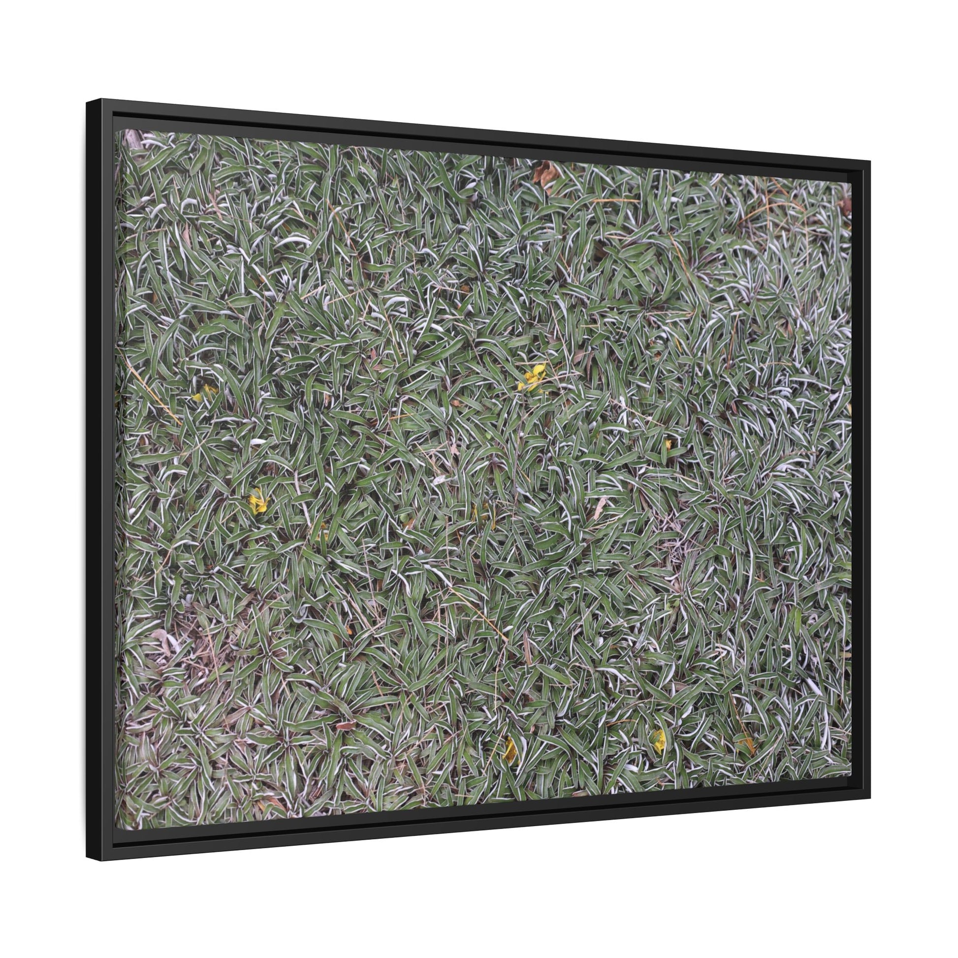 Grassy Texture - Unique Stretched Canvas Wall Art - Art By Earth
