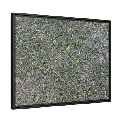 Grassy Texture - Unique Stretched Canvas Wall Art - Art By Earth