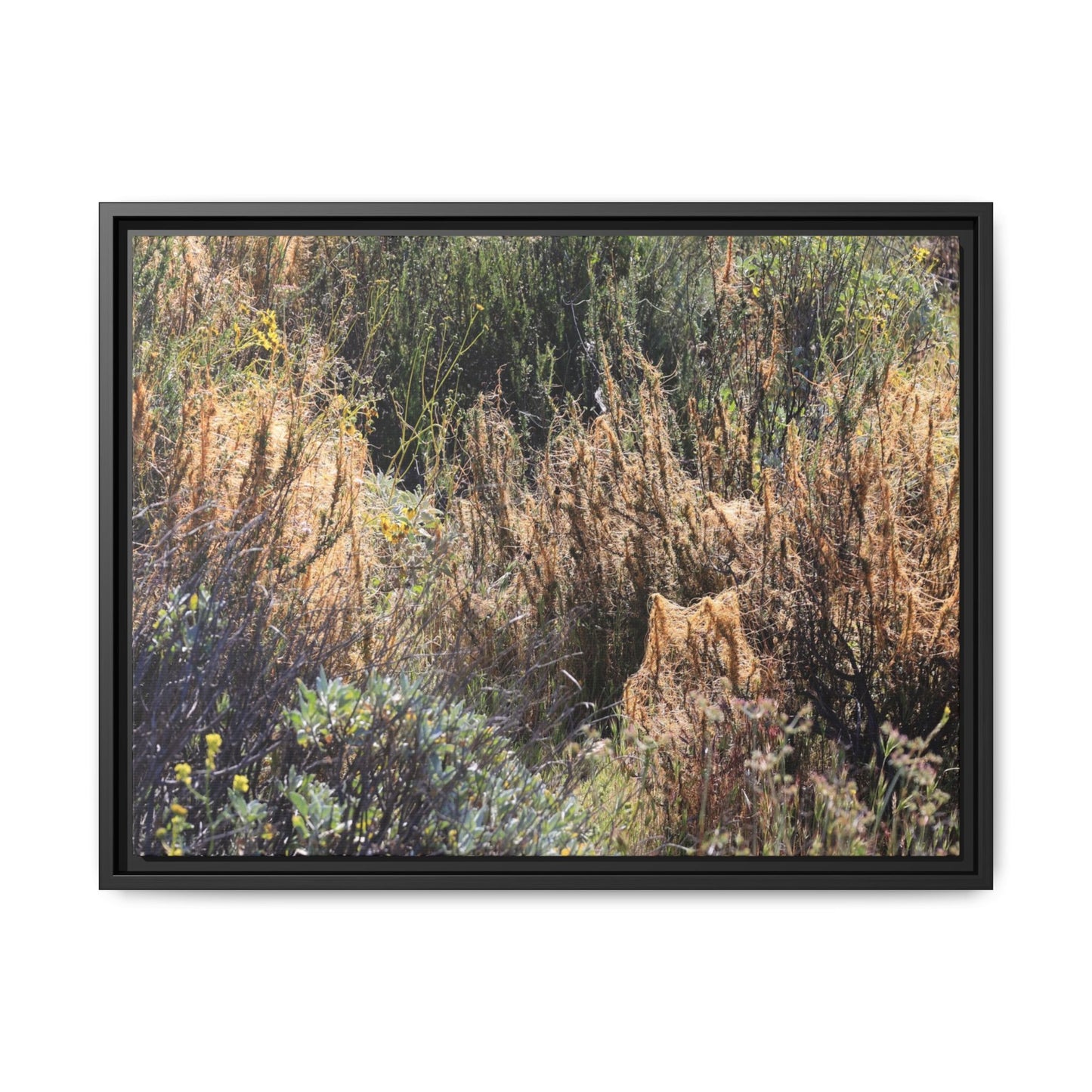 Drought-Stricken Landscape - Unique Stretched Canvas Wall Art - Art By Earth