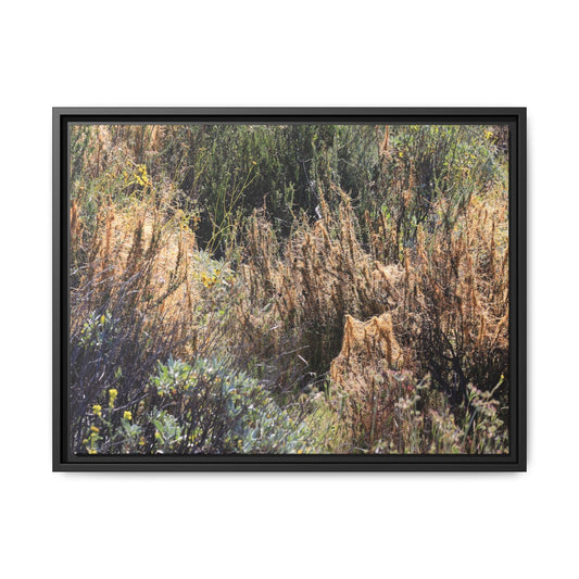 Drought-Stricken Landscape - Unique Stretched Canvas Wall Art - Art By Earth