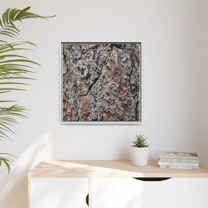 Bark Texture Symphony - Unique Stretched Canvas Wall Art - Art By Earth