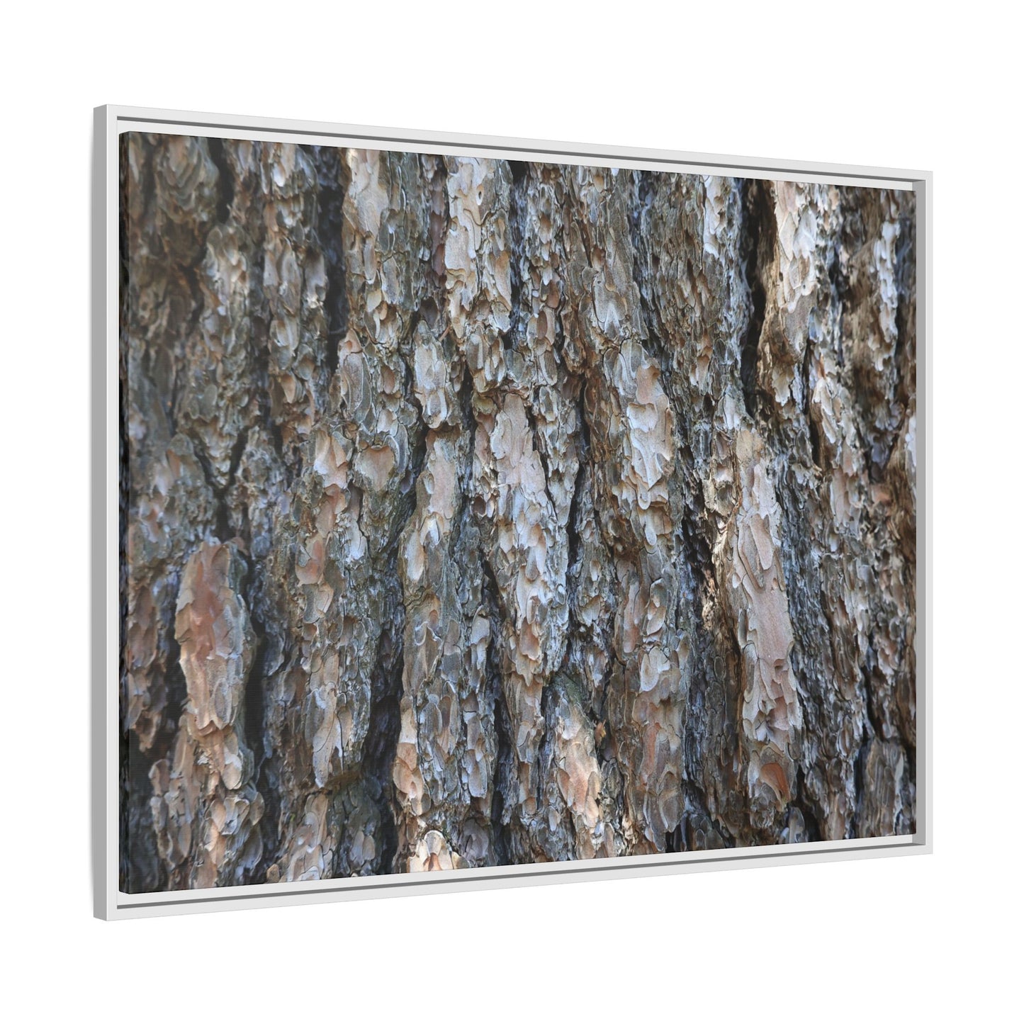 Bark Whispers - Unique Stretched Canvas Wall Art - Art By Earth