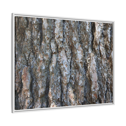 Bark Whispers - Unique Stretched Canvas Wall Art - Art By Earth