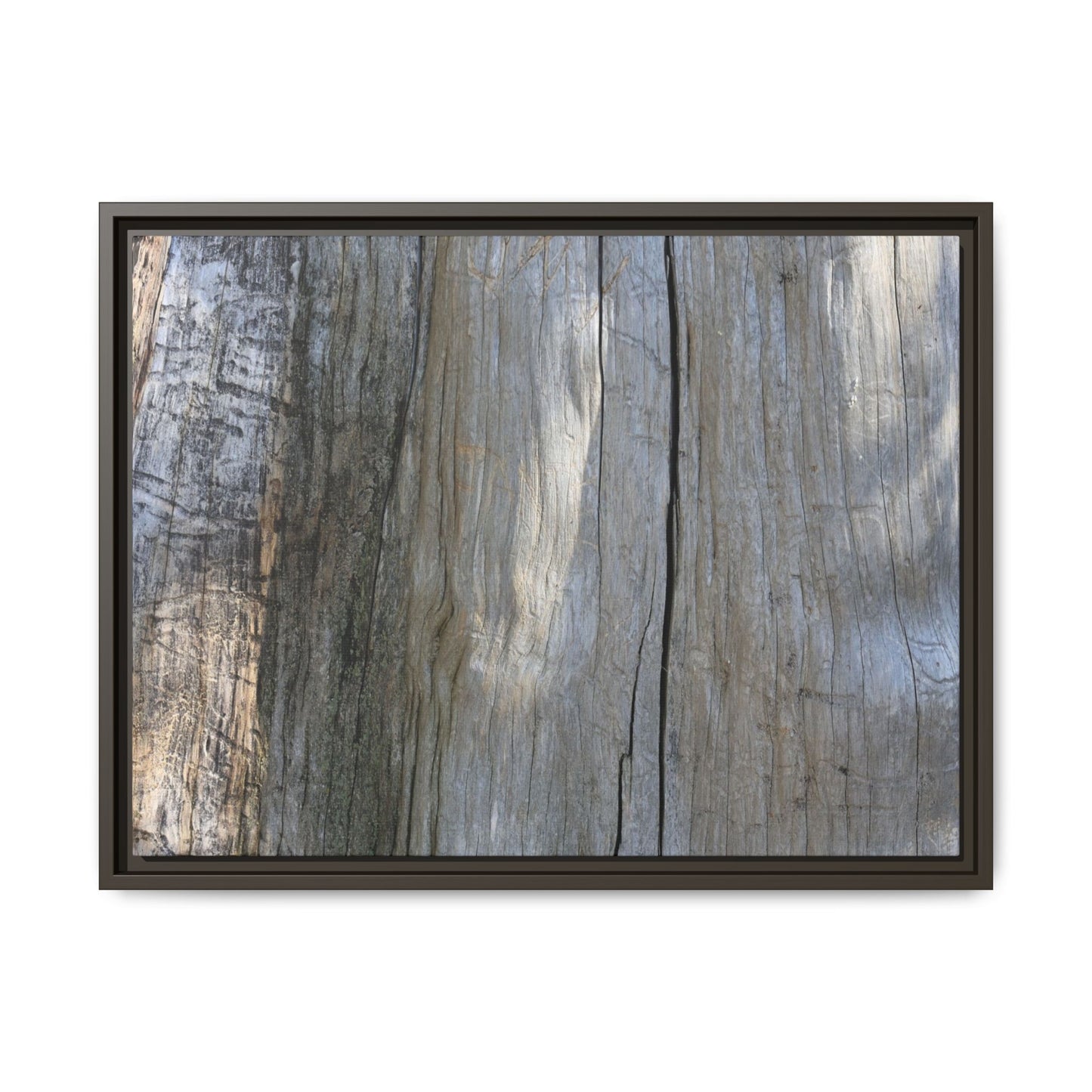 Cracked Timber Texture - Unique Stretched Canvas Wall Art