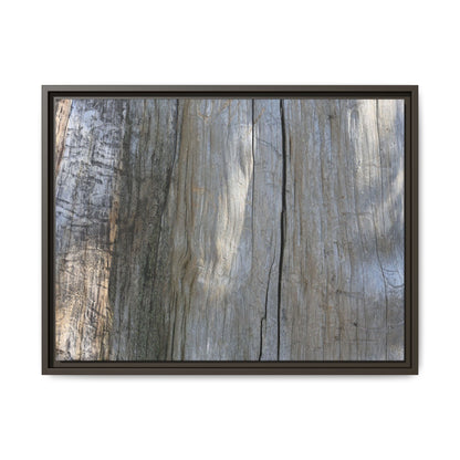 Cracked Timber Texture - Unique Stretched Canvas Wall Art