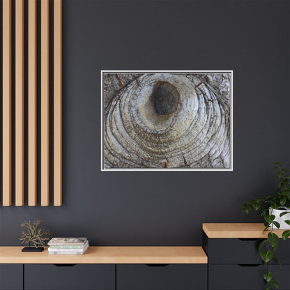 Echoes of Time - Unique Stretched Canvas Wall Art - Art By Earth