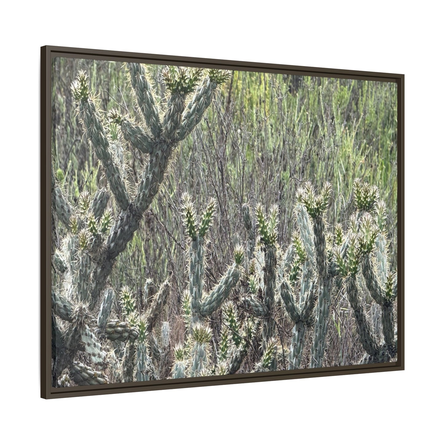 Prickly Paradise - Unique Stretched Canvas Wall Art - Art By Earth