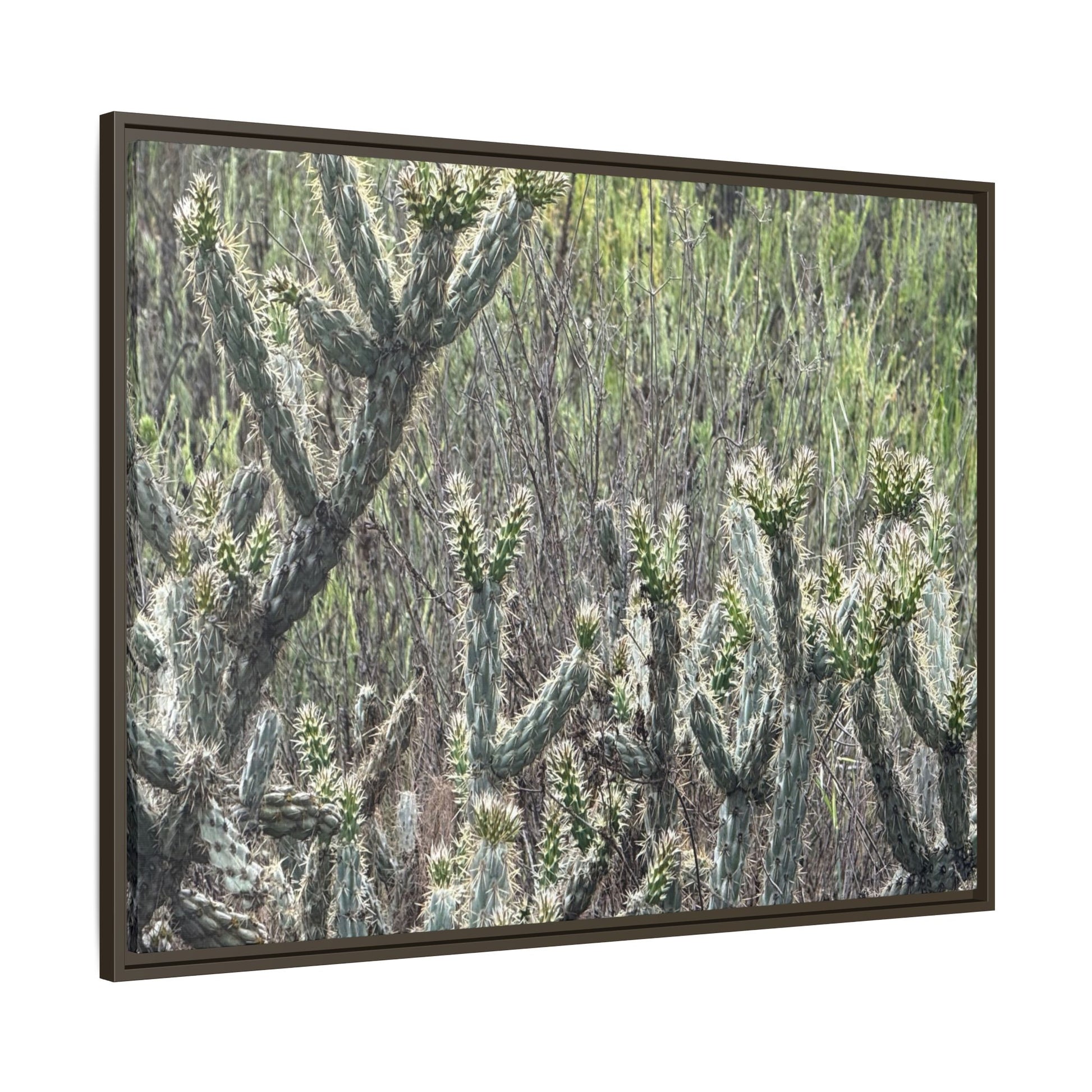 Prickly Paradise - Unique Stretched Canvas Wall Art - Art By Earth