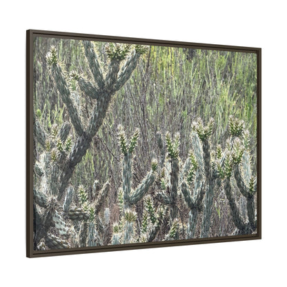 Prickly Paradise - Unique Stretched Canvas Wall Art - Art By Earth