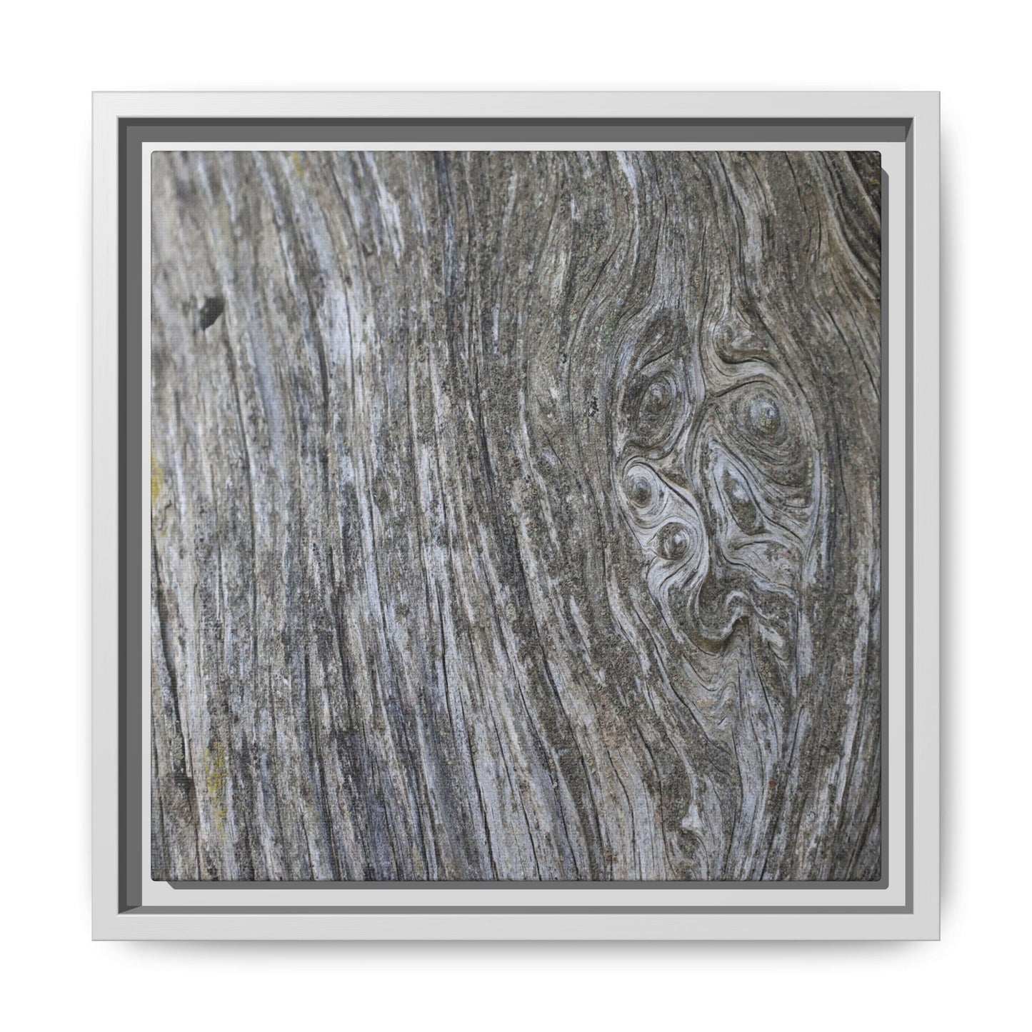 Eternal Knots - Unique Stretched Canvas Wall Art - Art By Earth