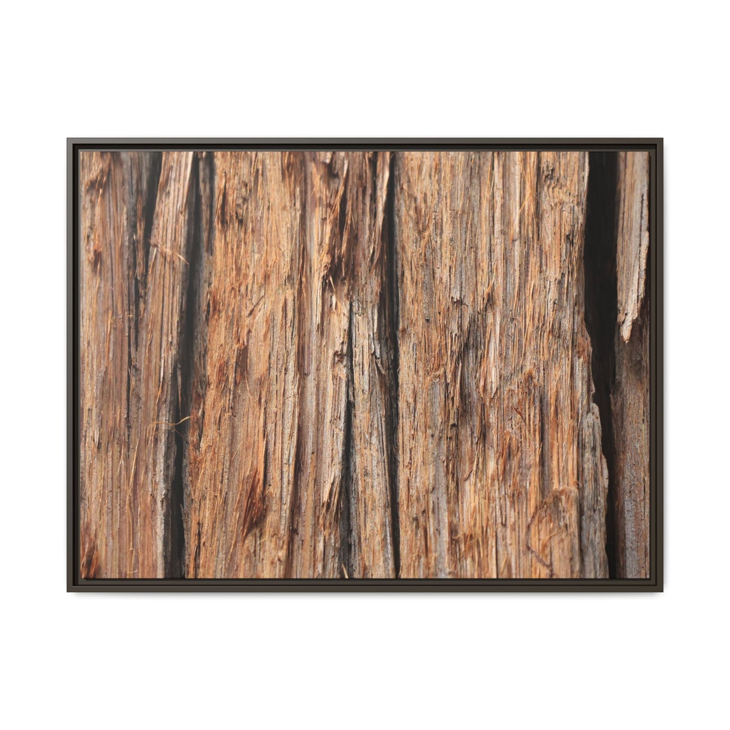 Timber Echoes - Unique Stretched Canvas Wall Art - Art By Earth