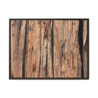 Timber Echoes - Unique Stretched Canvas Wall Art - Art By Earth