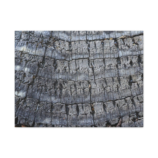 Whispers of Age - Unique Frameless Canvas Wall Art - Art By Earth